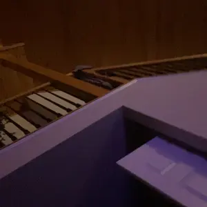 review image 5