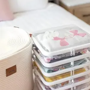 Clear Storage Box Set, 2/3 Counts Large Capacity Zipper Storage Box, Portable Storage Organizer for Skin Care, Clothes, Books, Plastic Containers, Travel Toiletry Bag, Flawless, Closet Organizers, Closet Organization