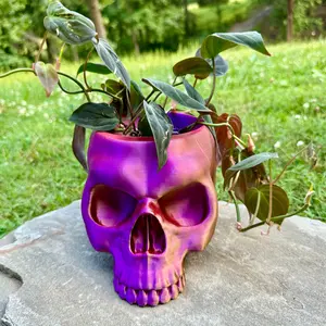 Skull Planter - Spooky Planter - Skull Plant Holder
