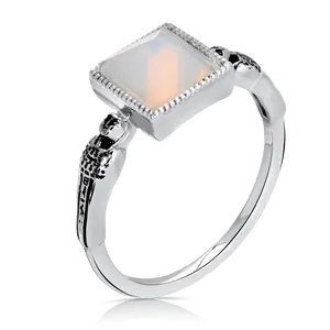 Book of the Dead Collector's Item