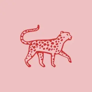 background preload poster image 