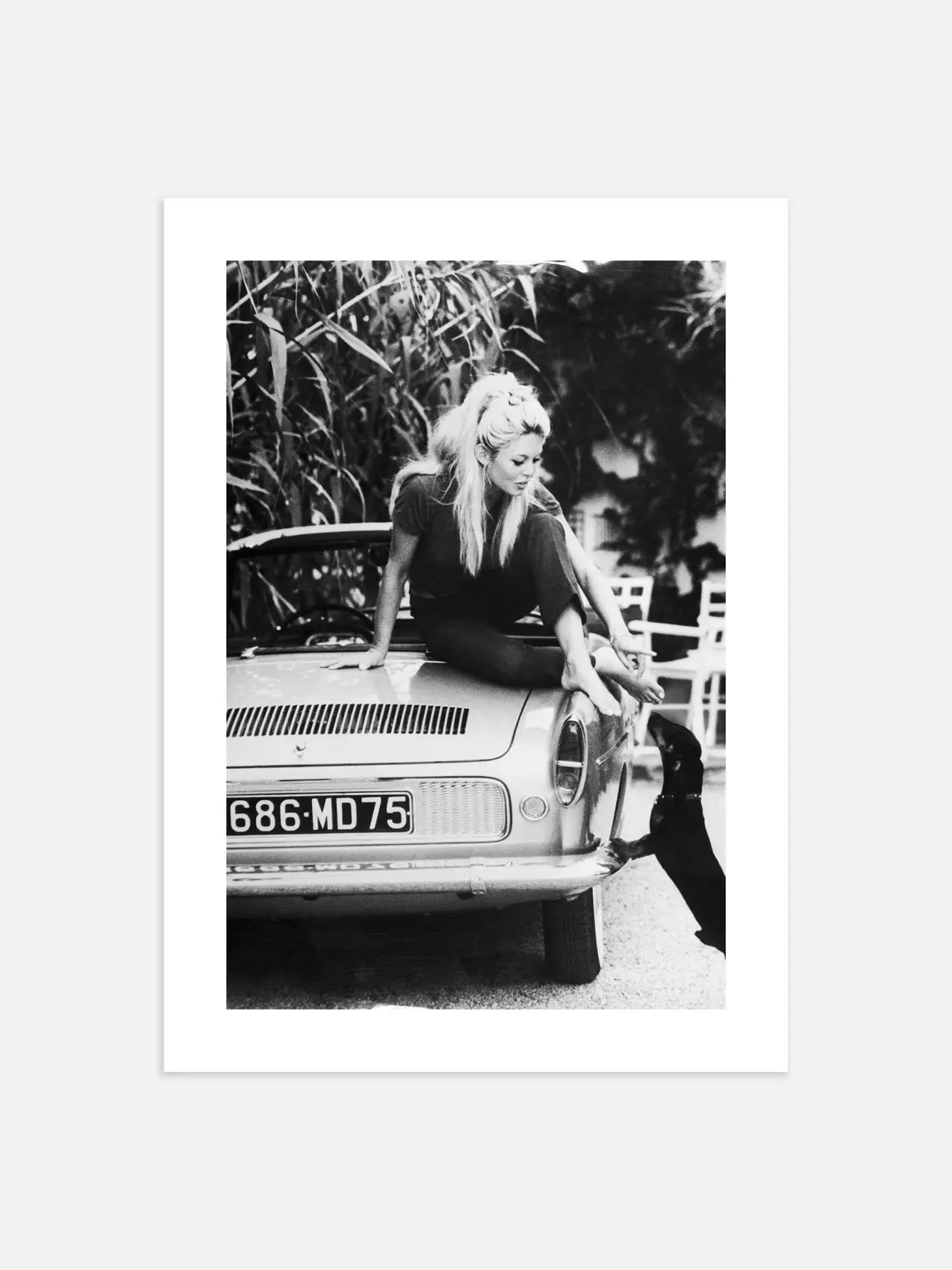 Brigitte Bardot Poster