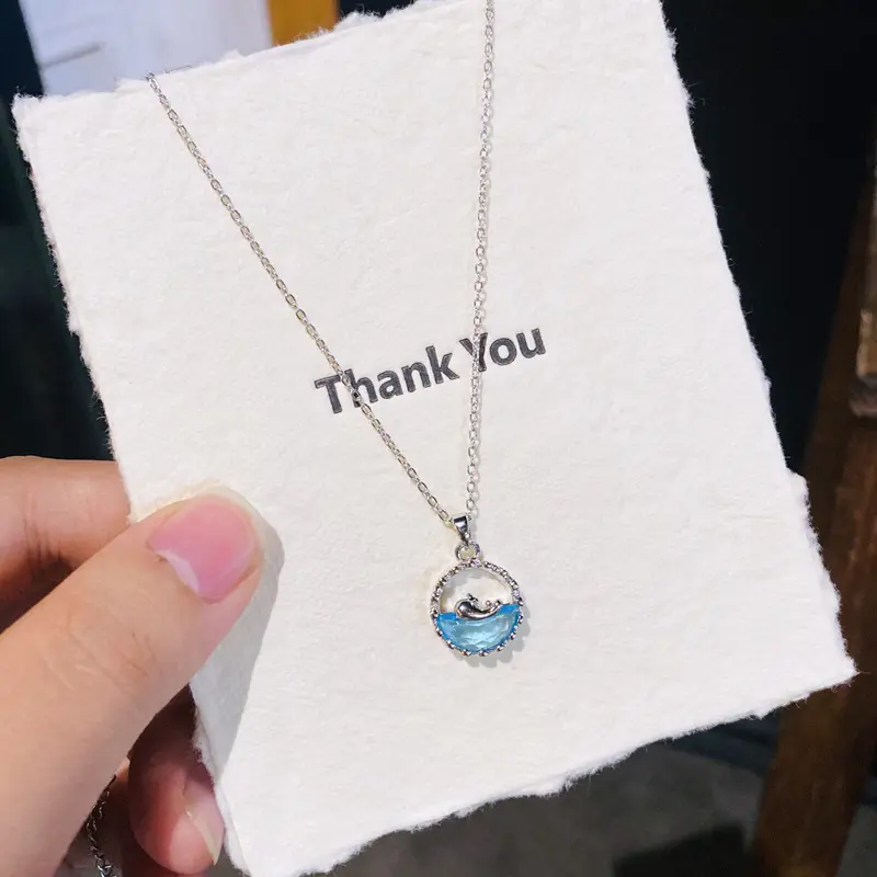 D30 Silver Spring Water Dolphin