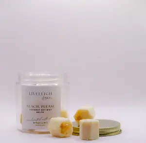 Beach, Please Wax Melts