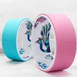 Yoga Goddess Beginner Pilates Ring