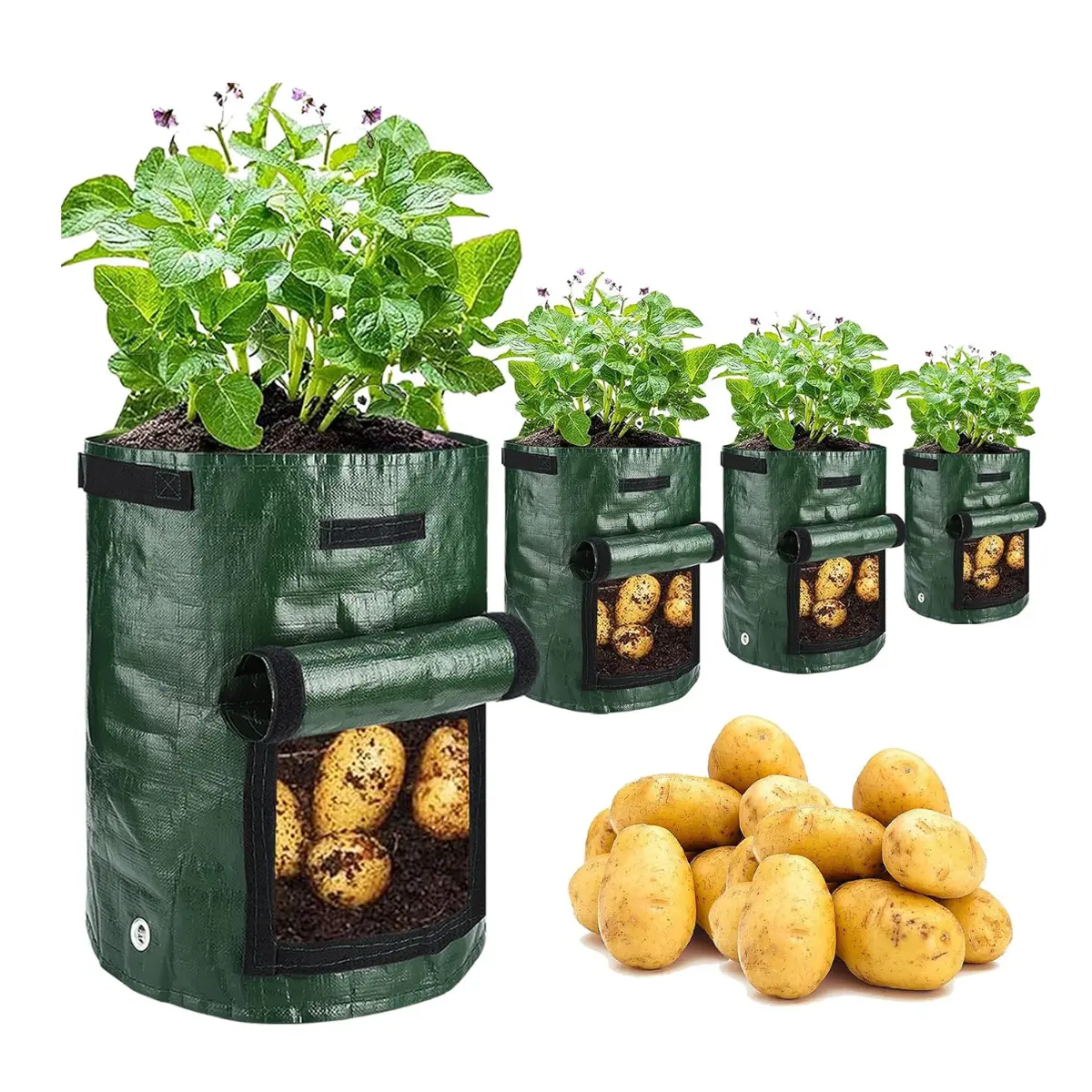 4-Pack 10 Gallon Potato Grow Bags with Flap & Handles  Heavy Duty Fabric Planter  Pots for Potatoes, Tomatoes, Onions, Carrots & Vegetables (Green) - TikTok  Shop