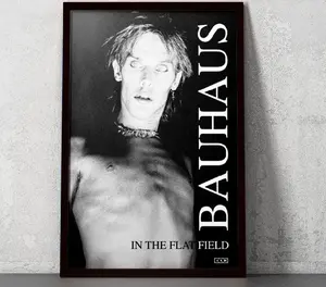 Bauhaus - In The Flat Field  Poster Poster