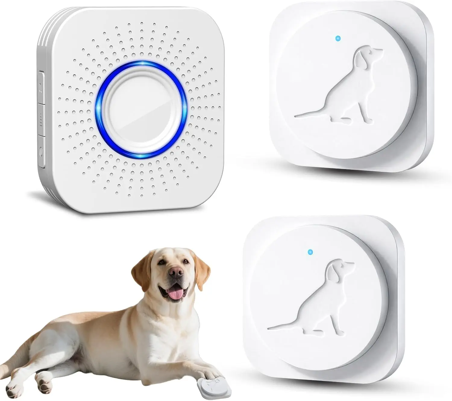 Wireless Smart Dog Potty Training Doorbell, IP Waterproof Touch Button with Long-Range Coverage, Multiple Melodies & Adjustable Volume