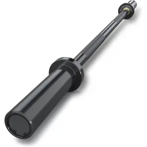 4ft  Barbell 20LB Bar Load 500lbs Capacity  Men's Barbell with Hard Chrome Sleeves for 2"  Plates