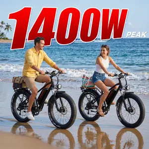 Kingbull Hunter 2.0S | Mountain Fat Tire Electric Bike