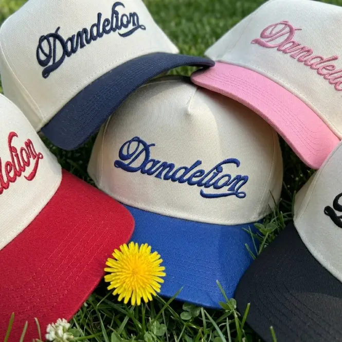 Dandelion Embroidered Trucker Hat, Snapback Concert Accessory Album cover, 2026 tour
