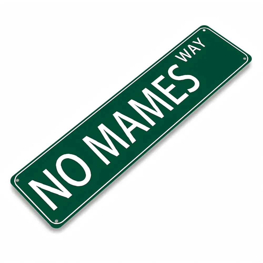 No Mames Way Flat Aluminum Sign, Funny Spanish Meme Street Wall Decor, Bold Green Road Sign Design, 16x4 Inch Humorous Ornament, Ideal for Man Cave Garage Latino Home, Trendy Viral Mexican Slang Gift for Spanish Speakers & Chicano Fans