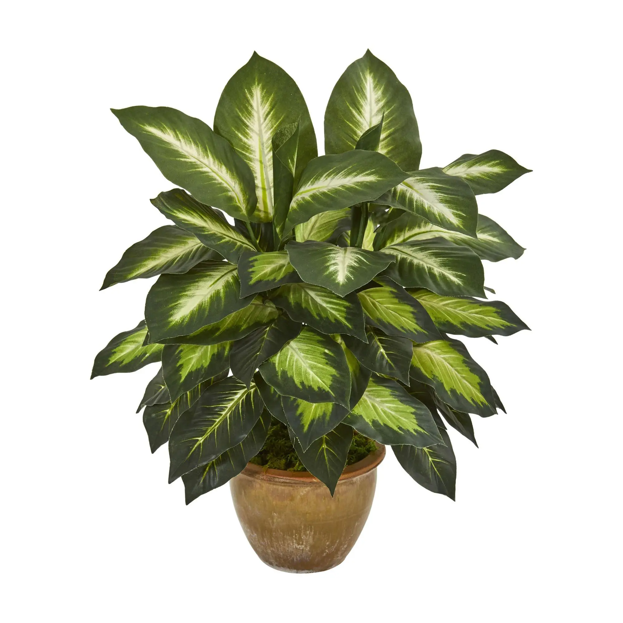 Dieffenbachia Artificial Plant in Planter by Nearly Natural