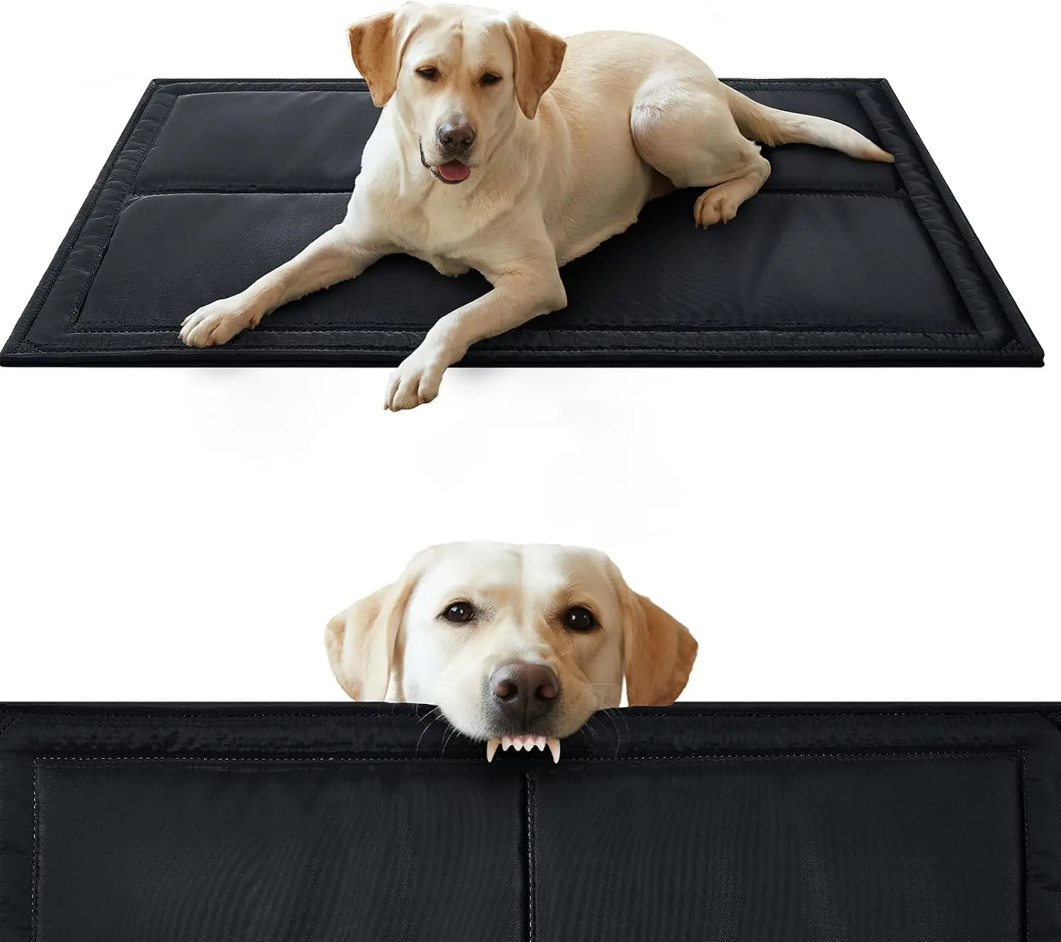 Chew Proof Indestructible Dog Bed Durable Dog Crate Pad for Aggressive Chewers Chew Resistant Fabric with Soft 1" 30D Foam Support Tough Kennel Pad Black Medium 22"x35"
