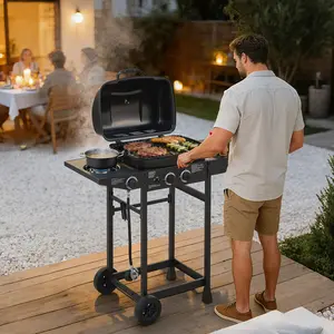 ARCH 2 Burner BBQ Propane Gas Grill with Side Burner 24000 BTU Output Stainless Steel Barbecue Grill with Enameled Grates and Side Tables for Outdoor Cooking Kitchen and Patio Backyard