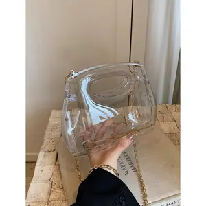 Fashionable Acrylic Box Transparent Handbag, Women's New Mini Fashion Shoulder Bag With Chain, Crossbody Bag, Phone & Wallet Pouch, Daily Cosmetic Bag, Suitable As Valentine's Day Gift