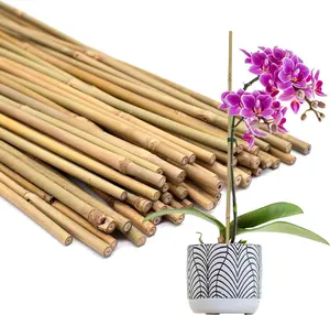 50Pcs Plant Stakes,17.9 Inch Natural Bamboo Stakes Garden Stakes for Indoor and Outdoor Plants,Poles Sticks for Tomatoes,Beans,Flowers