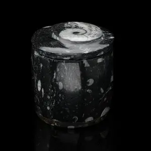 Ammonite and Belemnite Hand-Carved Fossil Container - Natural Decor