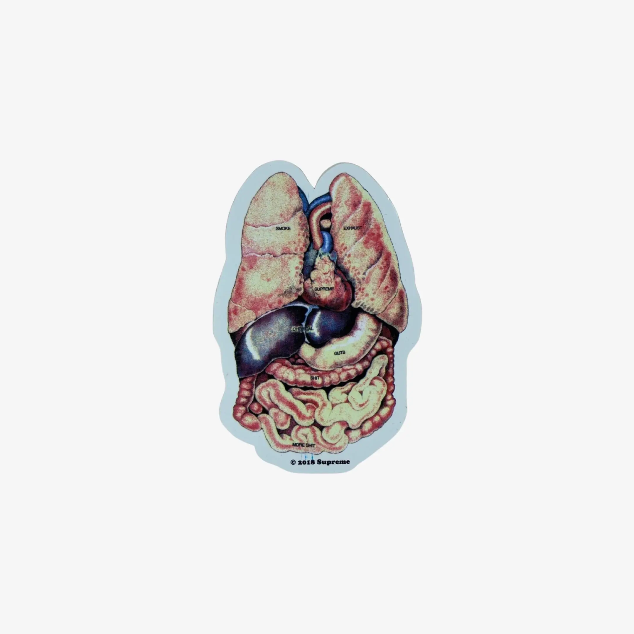 Supreme Sticker 'Guts' Multicolor (FW18)
