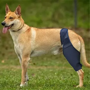 Dog leg fracture protective gear pet front and rear leg braces auxiliary with dog knee pads dog thigh injury protective cover