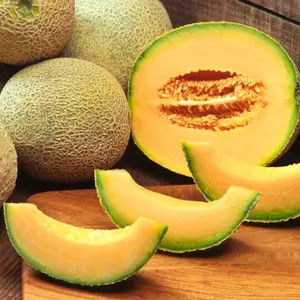 Iroquois Melon Seeds (Cucumis melo) – Classic Native American Heirloom with Sweet, Musky Flavor