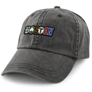 Boston Townie Pride PVC Washed Dad Hat