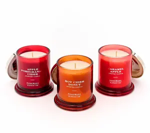 HomeWorx by Slatkin + Co. S/3 8oz Trip to the Cider Mill Candles