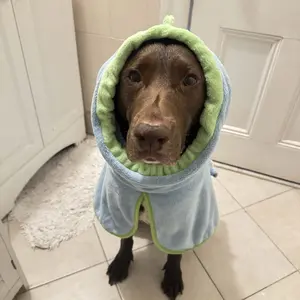 2 Counts Quick-Dry Dog Bathrobe Pet Towels Set, Adjustable Microfiber Robe with Drying Gloves, Ideal for Cold Weather and Beach Swimming