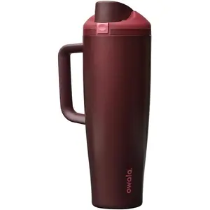 Owala FreeSip Tumbler Insulated Stainless Steel Water Bottle with Built-in Straw and Side Handle, For Travel, Work, School, and Sports, 40oz, BPA Free, Leak Proof, Black Cherry