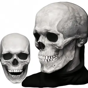 Realistic Full Head Skull Mask With Movable Jaw Scary Halloween Mask Halloween & Cosplay Mask For Adults Professional Party Prop