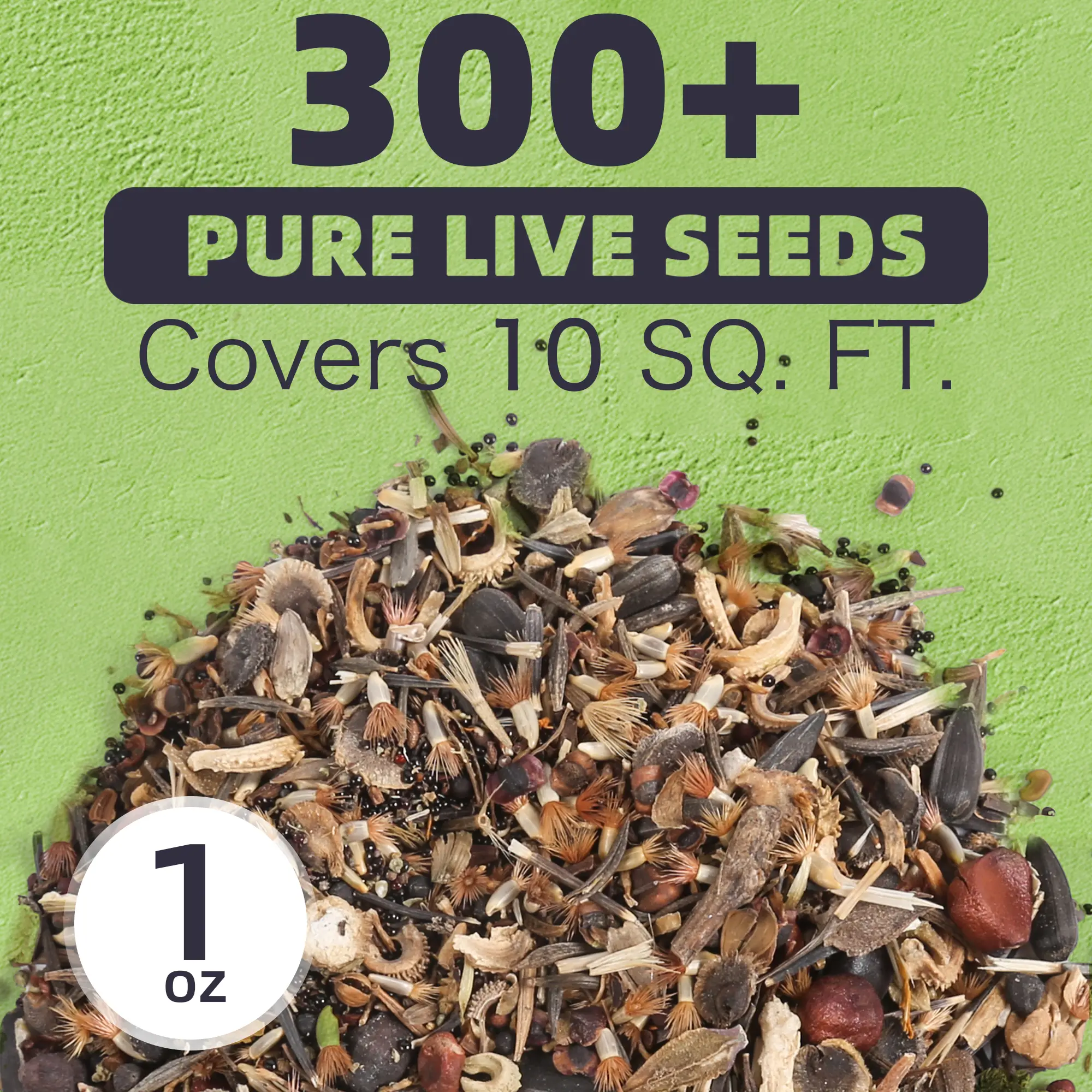 60+ Mixed Flower Seeds, 100 to 500 Seeds, Easy to Grow, Perennial Wildflowers, Year-Round Planting, 95% Germination