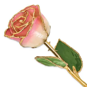 Lacquer Dipped Gold Trim Plated White/ Pink Rose
