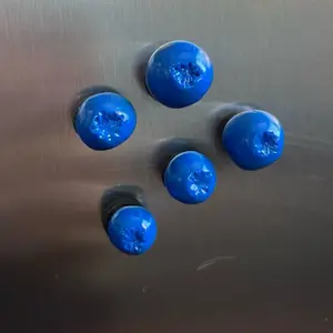 Blueberry set of handmade clay magnets