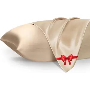 Satin Pillowcase with Zipper,20 x 30 Inches High-Grade Simulated Silk Material, Giving You the Effect of a Real Silk Pillowcase,Soft,Cooling,Machine Washable (Noble Champagne)