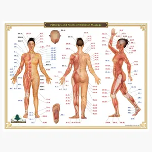 Acupressure Chart