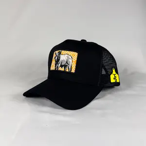 The aztec trucker hat