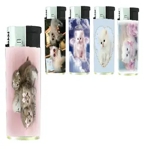 All Kittens Assorted Design Pocket Lighter