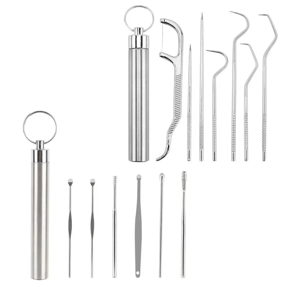 Stainless Steel Toothpick Set with Storage Tube, Portable Toothpick Set, Oral Teeth Cleaning Tool, Ear Wax Removal Tool, Household Ear Wax Cleaning Tool