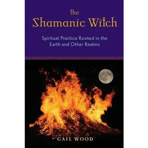 USED-The Shamanic Witch: Spiritual Practice Rooted in the Earth and Other Realms by Wood, Gail (Paperback)