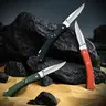 Foldable Sharp Stainless Steel Fruit Knife - Unisex Compact Drop Point Camping Knife, Ergonomic Handle, Durable Design, Survival Supplies, Portable Multipurpose Outdoor EDC Tool, Camp Kitchen Gadget