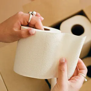 PlantPaper 32 Non-Toxic Toilet Paper Rolls + 8 Boxes of Facial Tissues for Everyday Use