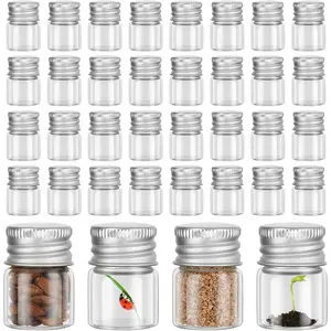 100 Pcs 5 ml Mini Glass Bottles with Aluminum Cap Tiny Jars Small Clear Vials with Screw Caps Tiny Containers for DIY Craft Storage (Silver)