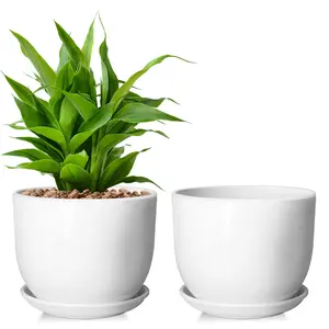 White Ceramic Plant Pots (2 Pack, 6.7 in) - Indoor Outdoor Planters with Drainage Holes and Saucers for Home Decor Gardens