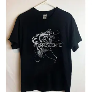 Evanescence t shirt, classic shirt, music tee