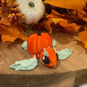 Pumpkin Sea Turtle (3D Printed Articulating Decor)