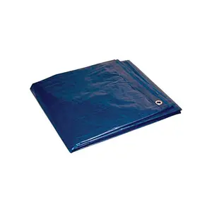 Foremost 20 ft. W X 30 ft. L Light Duty Polyethylene Tarp Blue