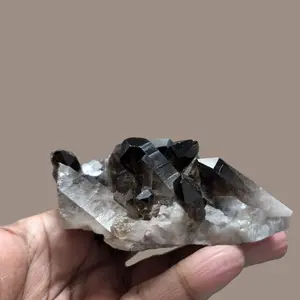 Beautiful Smoky Quartz Cluster