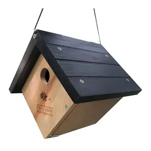 Backyard Expressions Cedar Wood Triangle Birdhouse