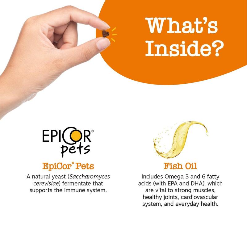 Zesty Paws All-in-One Training Bites for Puppies & Adult Dogs Soft Chew Immune Support Dog Treats with Omega 3 6 Fatty Acids for Skin Coat Supplements