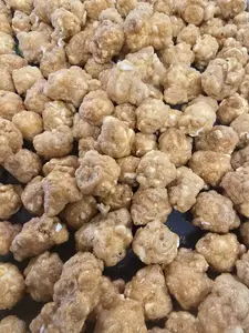 Freeze Dried Candy -FREEZE DRIED CARAMEL CORN by 3 Kids Candy